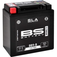 BS Battery Werkseitig aktivierte wartungsfreie SLA-Batterie - BB12AL-A2