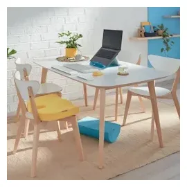 Leitz Ergo Cosy grau