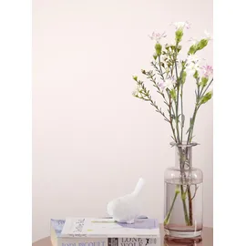 Alpina Feine Farben 2,5 l No. 24 zarte romantik