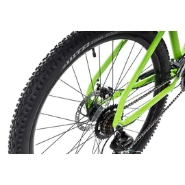 Axess Sandee 29 Zoll RH 53,3 cm Unisex grün