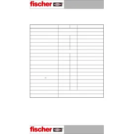 Fischer Pistolenschaum PUP S 750 B2