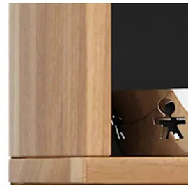 VCM CD/DVD-Regal Elementa Kern-Nussbaum