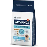 Affinity Puppy Maxi 12 kg
