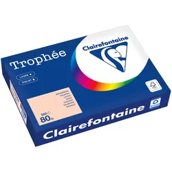 Clairefontaine Kopierpapier 1769PC A4 80g lachs 500 Blatt
