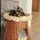 Silvio Design Korbturm