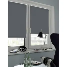 GARDINIA Seitenzugrollo 100 x 150 cm grau