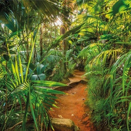 KOMAR Fototapete Jungle Trail 368 x 254 cm