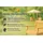TPFLiving Holle Besucherstuhl 59 x 60 x 80 cm orange 4 St.