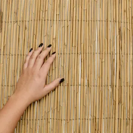 Sol Royal Sichtschutzmatte 90 x 600 cm Schilf Holz