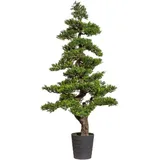 Creativ green Kunstbonsai »Bonsai Teeblatt«, grün