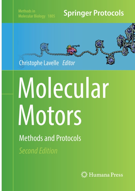 Molecular Motors, Kartoniert (TB)