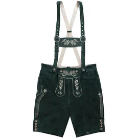 Jp1880 Trachtenhose silbergrau | dunkelgrün 66xRegular