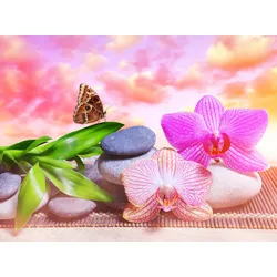 Fototapete PAPERMOON "BLUMEN ABSTRAKT-MUSTER DESIGN SCHMETTERLING BLUME ZEN", bunt, B:5,00m L:2,80m, Vlies, Tapeten