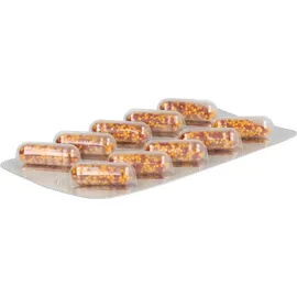 Biosyn Arzneimittel GmbH Careimmun Basic Kapseln