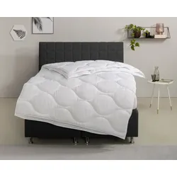 Microfaserbettdecke HOME AFFAIRE "Angly, Bettdecke 135x200 cm und 155x220 cm", weiß, B:135cm L:200cm, Bezug: 100% Polyester. Füllung: 100% Polyester, Bettdecken, Bettdecken, Sommer, Winter, Decke, Allergiker geeignet (Hausstaub)