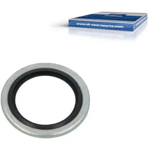 DT Spare Parts Dichtring 2.11432