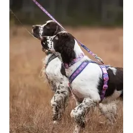 Non-Stop Dogwear Line Harness 5.0 Hundegeschirr purple/pink 5