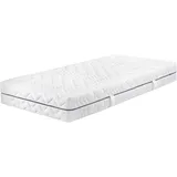 Badenia Trendline BT1000 7-Zonen 1.000er Tonnentaschenfederkernmatratze, Stiftung Warentest Testurteil GUT Ausgabe 10/2021, Härtegrad 4 (H4 - fest), 140 x 200 cm, Öko-Tex Zertifiziert