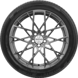 Delinte DS2 205/50 R16 87W XL