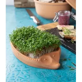 RÖMERTOPF Kresseigel inkl. Saatgut, Terrakotta