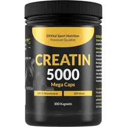 Creatin 5000 Monohydrat von EXVital Sport Nutrition, 300 Kapseln