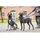 Wolters Xtra Strong Hundemantel orange 34 cm