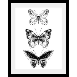 queence Bild »Schmetterlinge«, Tiere-Schwarz-Weiß-Kunst-Insekten-Schmetterlinge, HD Premium Poster-Druck inkl. Holzrahmen queence Farbe Rahmen: schwarz + Farbe Bild(er): schwarz
