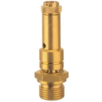 Riegler Sicherheitsventil DN 8, Messing, G 1/4, Ansprechdruck 6,3