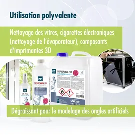 Höfer Chemie Isopropanol 70% 6 x 250 ml