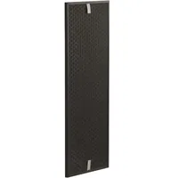 Rowenta Aktiv-Kohle-Filter Intense Pure Air XL | Schwarz |