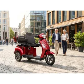 ECONELO E-Seniorenmobil Billy 2.0 3-Rad 1000 Watt Rot/Grau