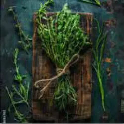 Glasbild HERBAL BUNCH - bunt