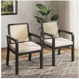 Flieks Esszimmerstuhl Rattanstühle, Gestell aus Gummiholz (Set, 2 St), 2er Set Polsterstühle Armlehnstuhl mit Fußpolstern Samt Schwarz schwarz