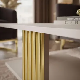lookway SAPHIRA Gold Holzwerkstoff 100 x 40 x 60 cm