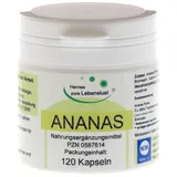 G & M Naturwaren Import GmbH & Co. KG Ananas Enzyme Kapseln