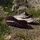 adidas Terrex Agravic SL Damen Lila/Weiß/Maroon 36