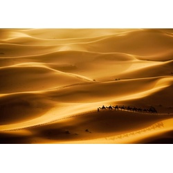 PAPERMOON Fototapete „Wüste“ Tapeten Gr. B/L: 2,00 m x 1,49 m, Bahnen: 4 St., bunt Fototapeten