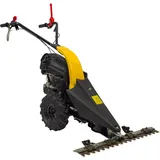 TEXAS CB8700