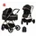 Chipolino Pearl 2 in 1 Schwarz