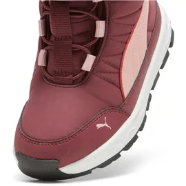 Puma Evolve Boot AC+ PS Sneaker, dark Jasper-Future PINK-Astro red 35