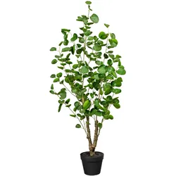 CREATIV green künstliche Pflanze Fiederaralie, ca 110cm, grün, im Kunststofftopf 16x13cm, mit Erde