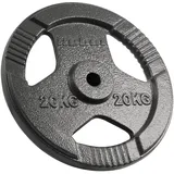 rebel electro Rebel Last Gusseisen 20kg Bohrung 31mm Griffteller RBA-2137