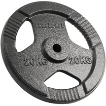 rebel electro Rebel Last Gusseisen 20kg Bohrung 31mm Griffteller RBA-2137
