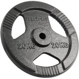 rebel electro Rebel Last Gusseisen 20kg Bohrung 31mm Griffteller RBA-2137