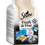 Sheba Fresh & Fine in Gelee - Hochwertiges Katzen Nassfutter - Thunfisch und Lachs (MSC) - 36 x 50g