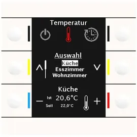 MDT technologies Bedienzentrale Smart 86 Farbdisplay rws/glän BE-BZS86.01