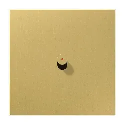 Jung  Abdeckung mit Kipphebel mit Lichtleiter Zylinder  (Messing)