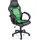 TRESKO RAcing RS-013 Gaming Chair schwarz/grün