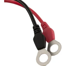 Ctek 56-380 Ladebuchse und Ladezustandsanzeige Ringkabelschuh M8 Comfort Indikator M8