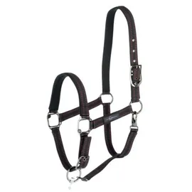 Kerbl Pferdehalfter für Goleygo-System Größe Foal Schwarz/Fuchsia
